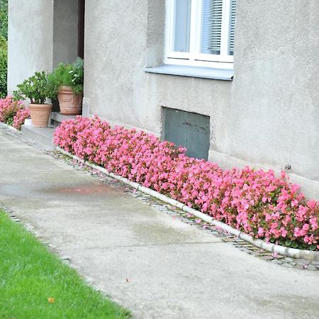 Studio Apartman D&D Varaždin Buitenkant foto