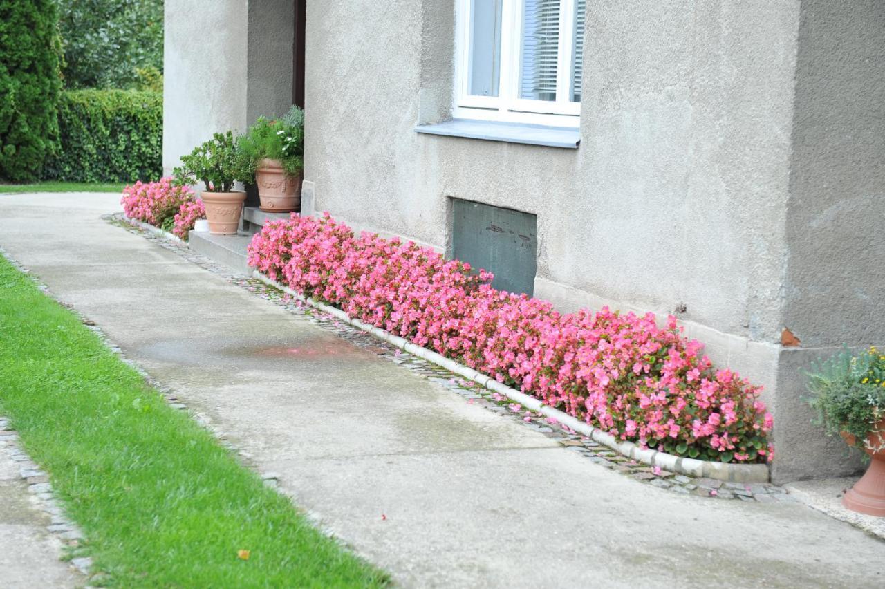 Studio Apartman D&D Varaždin Buitenkant foto